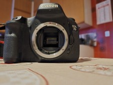 Reflex DSLR Canon EOS 7D Con Obiettivo TAMRON Di2 18-270 MM