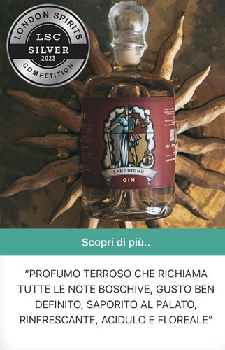 Dry gin edizione - gin,