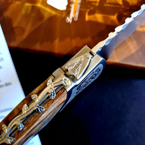 Coltello tascabile laguiole - tascabile,