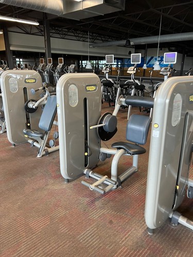 Technogym element lower back - lower,