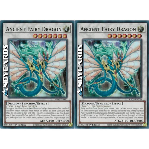 Ancient fairy dragon - dragon, •