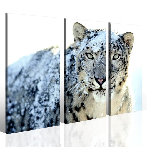 Quadro animali perfect machine - perfect,