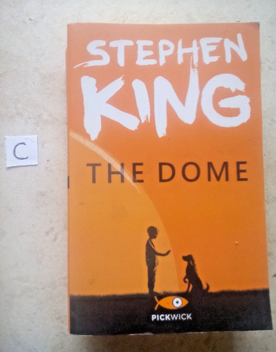 Libro the dome stephen - libro,