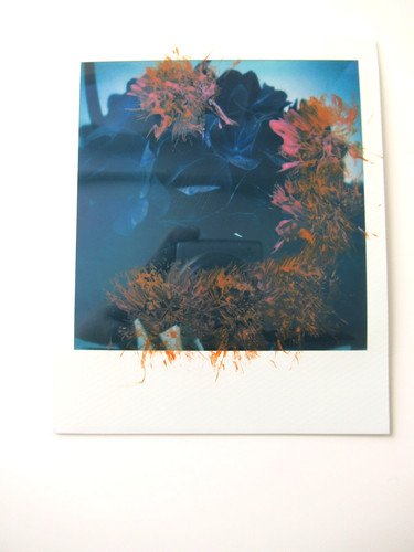 Araki polaroid originale - araki:,