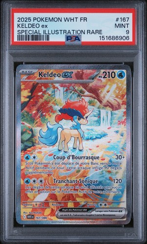 Pokémon jcc keldeo 167 - pokémon,