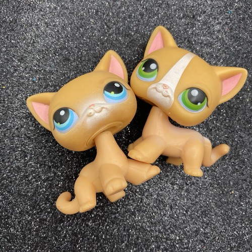 Hasbro lps littlest pet - lps,