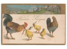 1935 famiglia gallo gallina