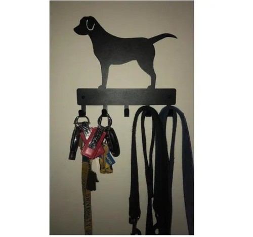 Labrador retriever - labrador,