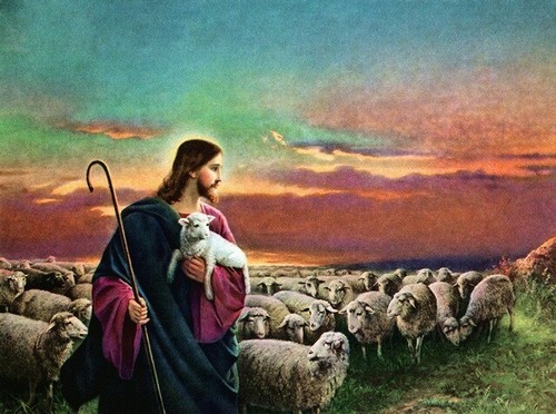 Gesù con gregge pecore di - con,