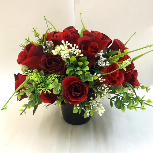 Rosa rossa memoriale - rosa,