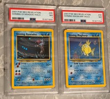 Shining Gyarados & Shining