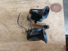 Pair of horns Cod. 36013