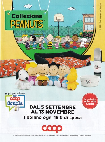 Pieghevole con scheda porta