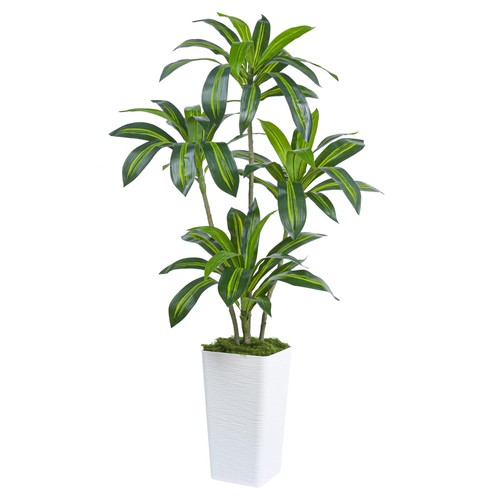 Dracaena artificiale per - artificiale,