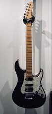 Chitarra elettrica ESP