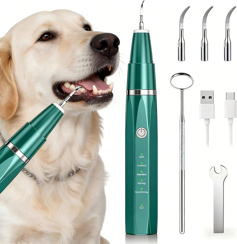 Pulitore dentale ultrasuoni - pulitore,