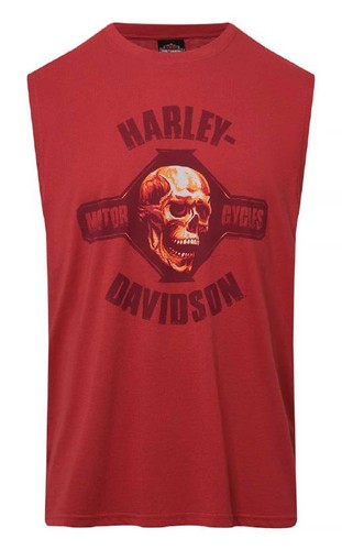 Harley davidson shirt - harley-davidson, uomo