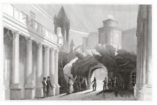 LA SCUOLA DI PLATONE IN