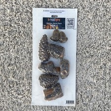 RealFyre Camino a Gas Spargi