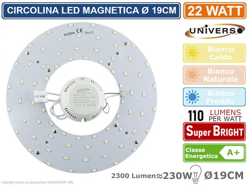 Circolina piastra magnetica - circolina,