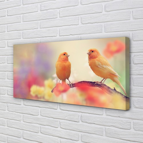 Quadro tela tulup - su, 120x60