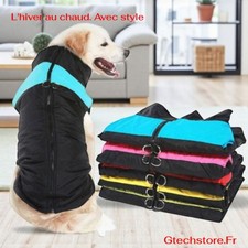 Manteau Chien Hiver