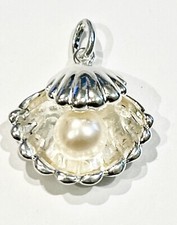 NEW Scallop Shell with Fresh