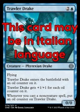 MTG 4x TRAWLER DRAKE EXC -