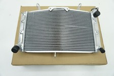 Yamaha FZ1 1000 Fazer Motore