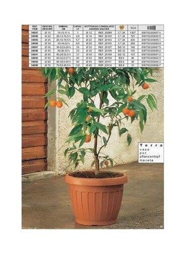 Vaso giardino esterni - giardino,