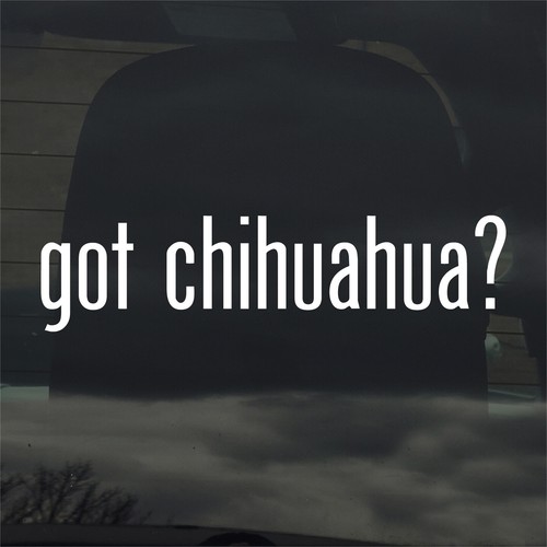 Got chihuahua adesivo vinile - chihuahua?,