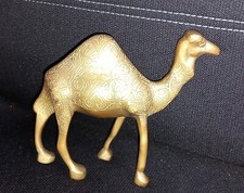 Cammello Dromedario  ANIMALE