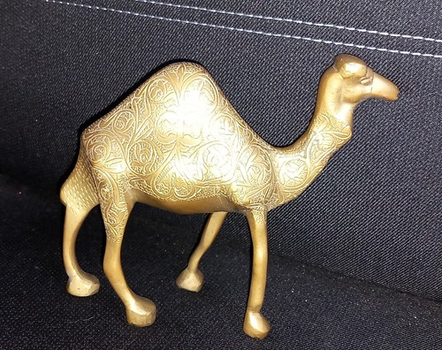 Cammello dromedario animale - cammello,