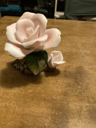 Rose porcellana di - porcellana,