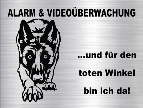 Malinois cartello - malinois, di