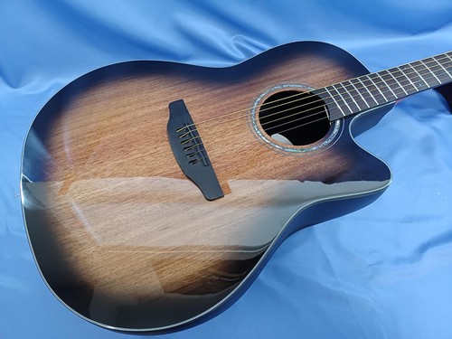Chitarra elettrica acustica