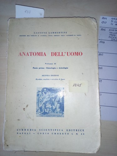 1245n anatomia dell uomo - 1245n,