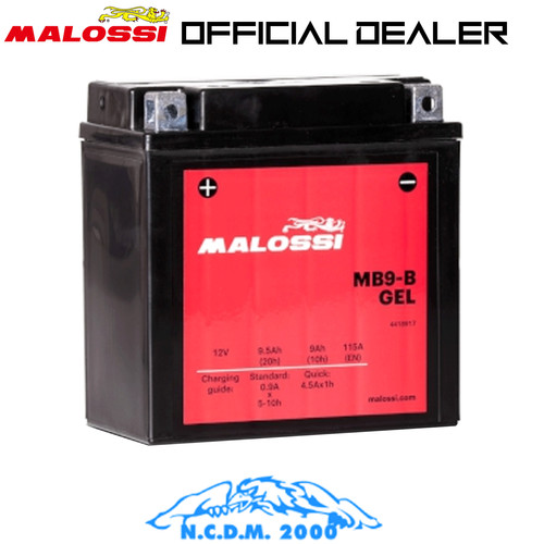 Batteria gel malossi 4418917 - gel,