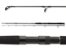 DAIWA Exceler Cf Spin 2,40m /