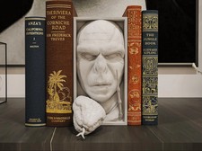 Voldemort Harry Potter Book