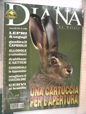 DIANA 18 2003 Cinghiale Segugi e lepri Setter inglese Allodole Drahthaar Caccia