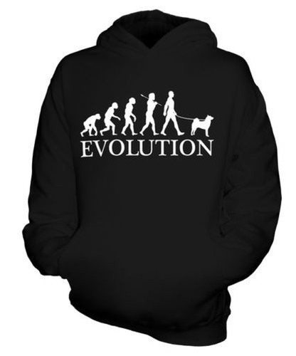 Akita inu evolution uomo - akita,