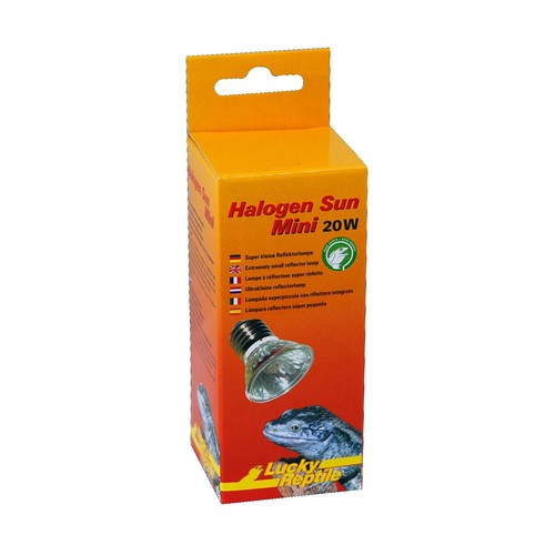 Lucky reptile alogena sole - reptile,