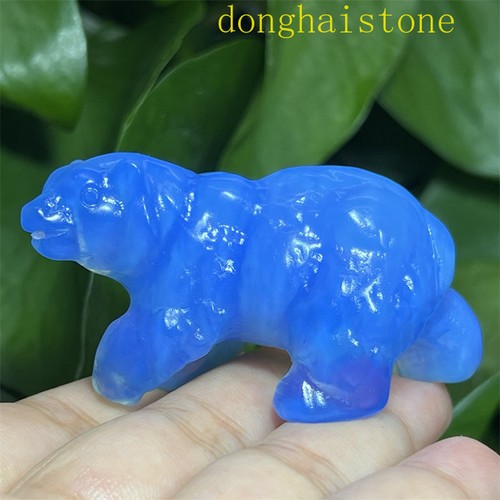 Teschio orso opalite blu
