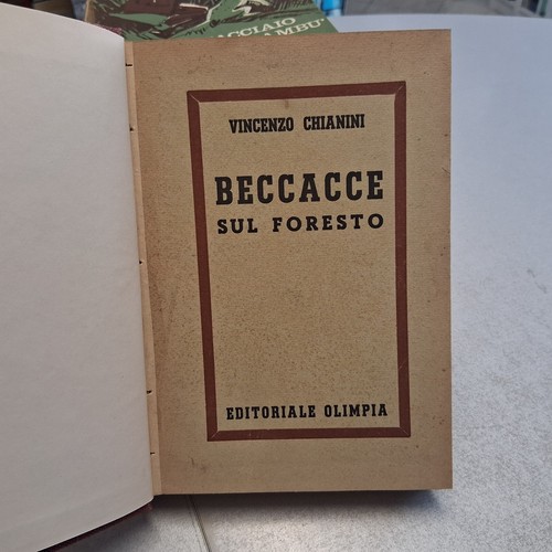 Beccacce sul foresto - beccacce, foresto,