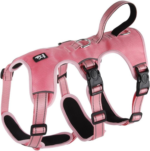 Pettorina cane anti tiro - pettorina,