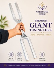 Giant Tuning Fork with DNA Key