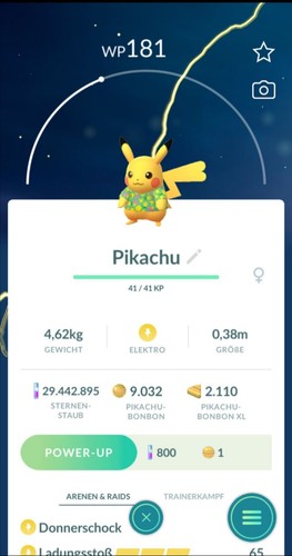 Pokémon pikachu - pokémon,