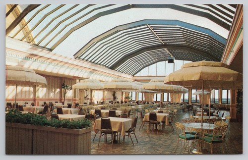 Sun room boardwalk - room,