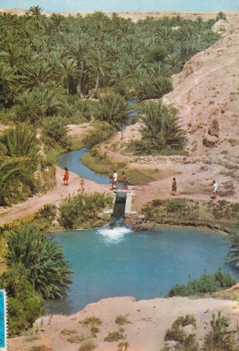 Cartolina tunisia gabes - -,